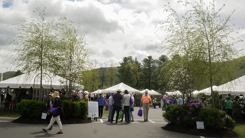 Community Events Return to Lime Rock Park