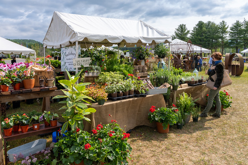 Rev Up Your Gardening Game with Trade Secrets Rare Plant and Garden Antique Show Returns to Lime Rock Park