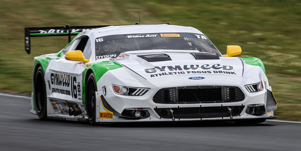Dyson Comes Home to Lime Rock, Aims For 2nd Straight 2025 Trans Am Win